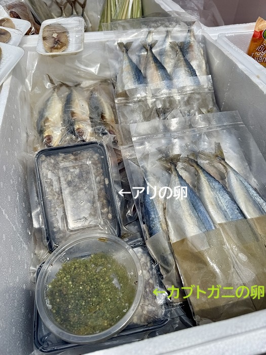 アリとカブトガニの卵