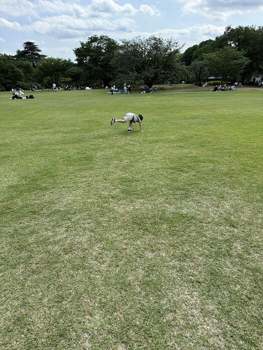 四足歩行で芝生を走る