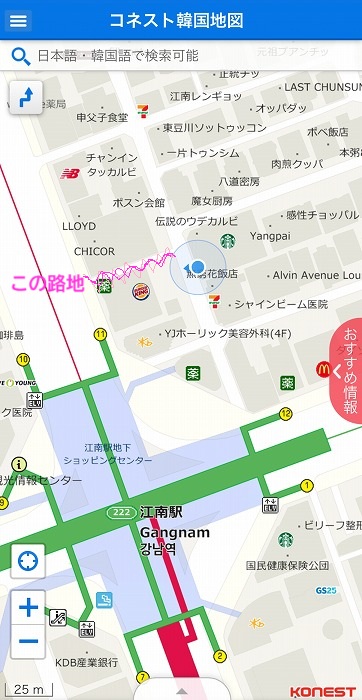 地図だと、ピンクの～～線のところ