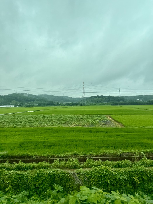 坡州の風景
