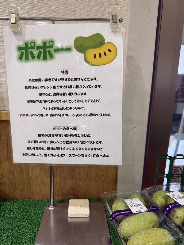 幻の果物 ポポー