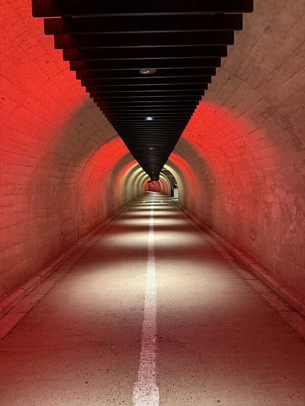 ラスボスに向かう道にしか見えない