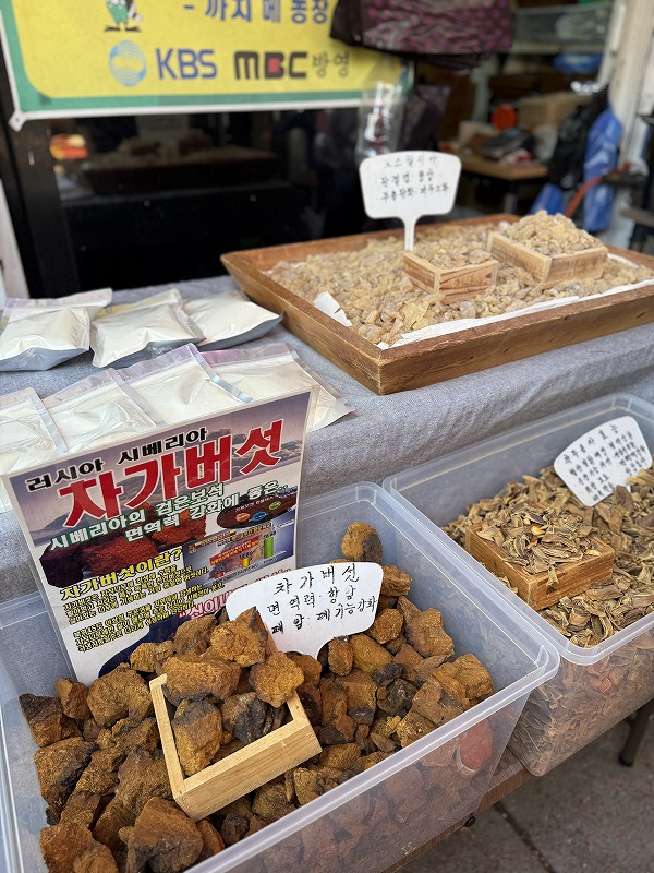 健康にいい？謎のキノコ