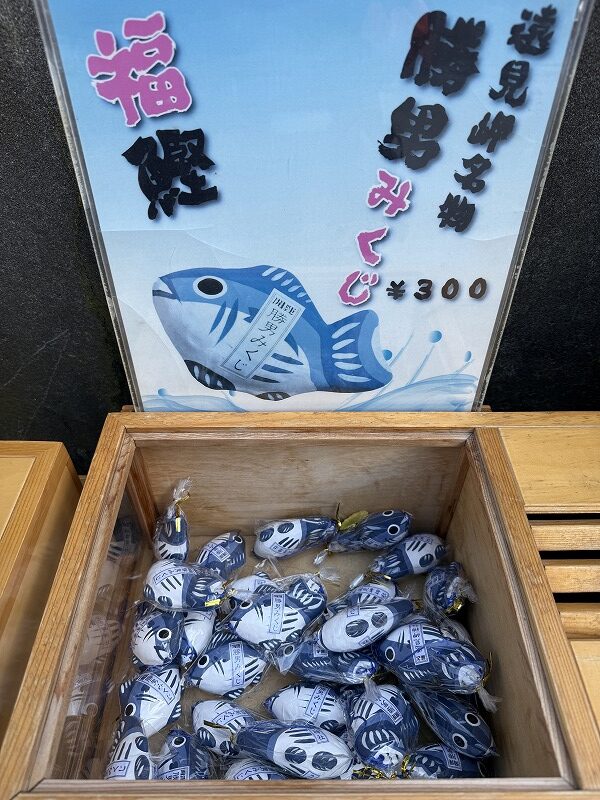 男性向けの勝男(かつお)みくじ