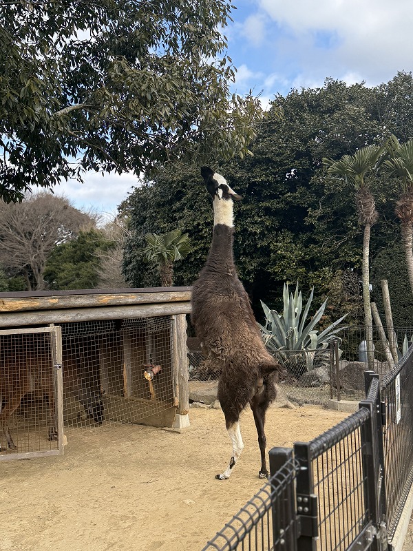 こんな立って食べられるのか