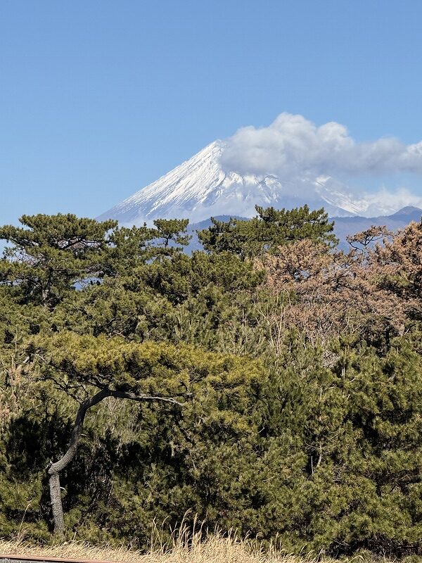 沼津御用邸・展望地からの富士山
