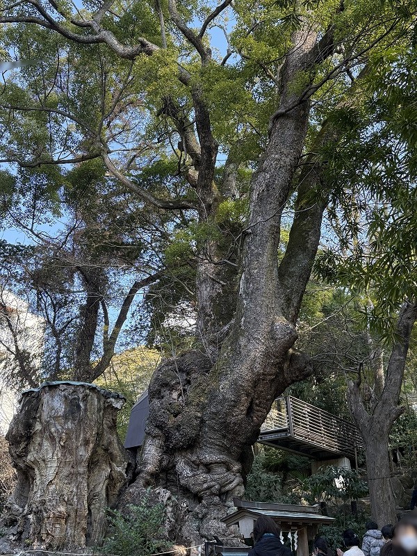 右手に撮影用デッキ