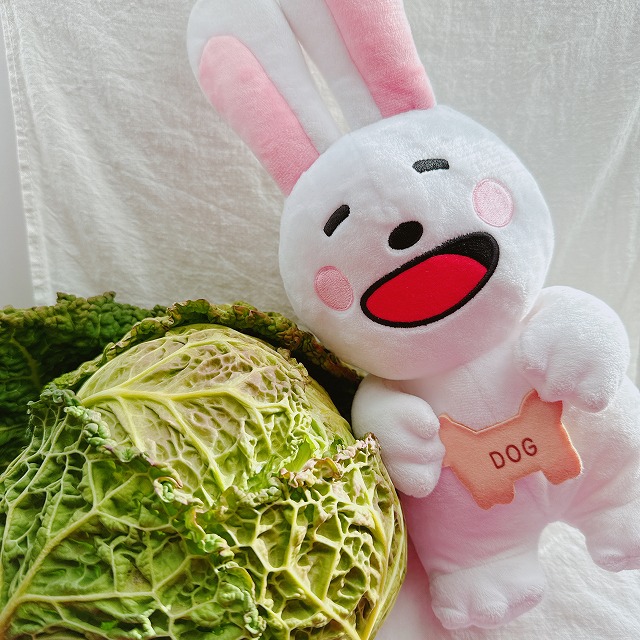 サボイキャベツ