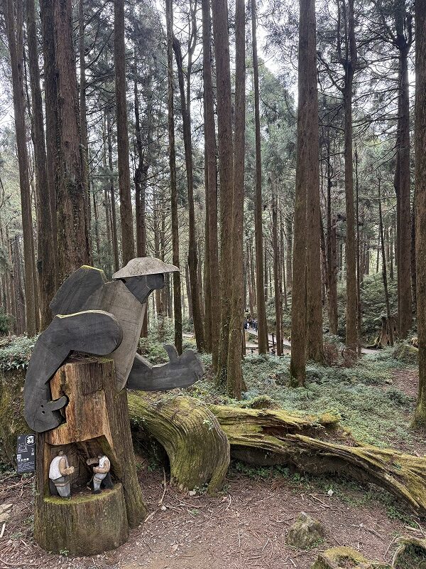 目の前がもういきなり森