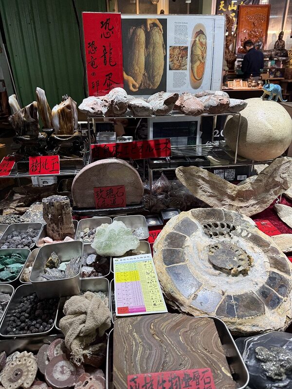 アンモナイトとか化石系