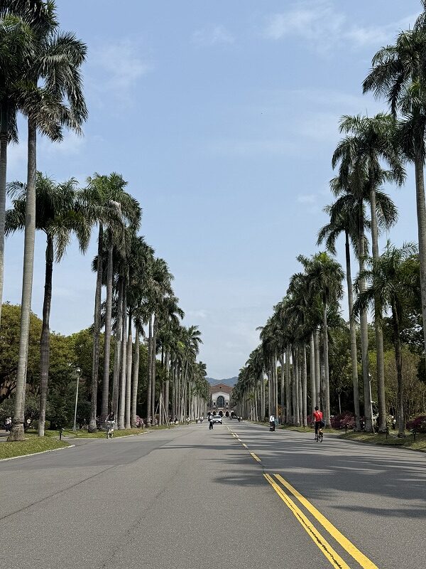 台湾大学　メインストリート