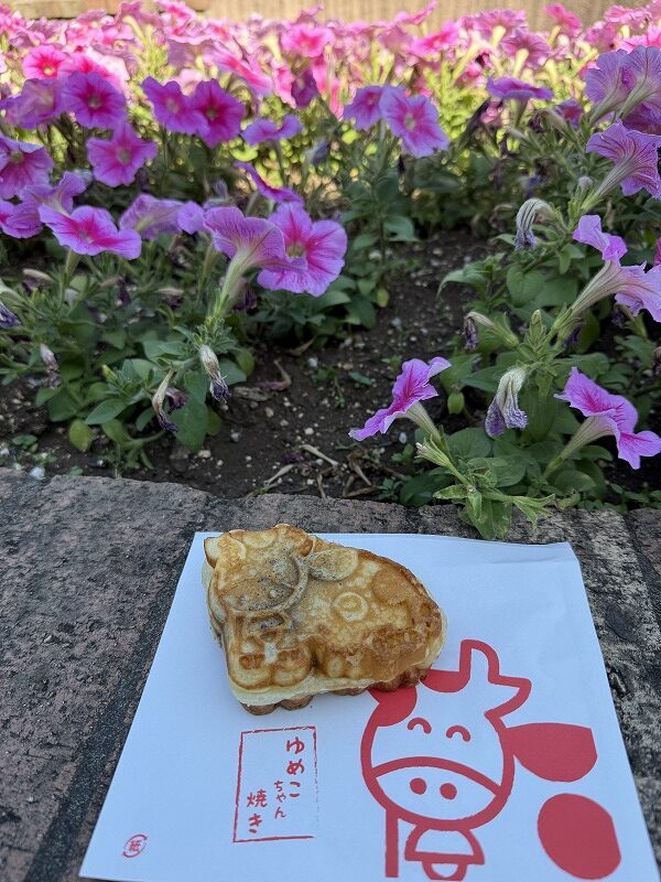 成田ゆめ牧場　ゆめこちゃん焼き