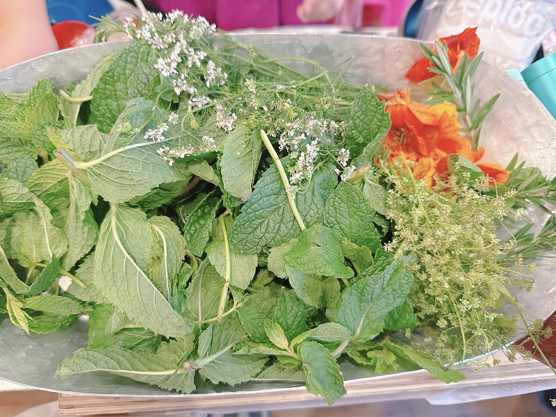 ハイビスカスやパクチー、セロリの花