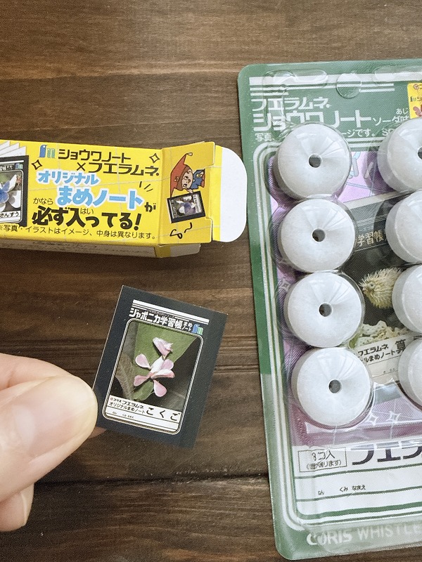 爪より少し大きいくらい