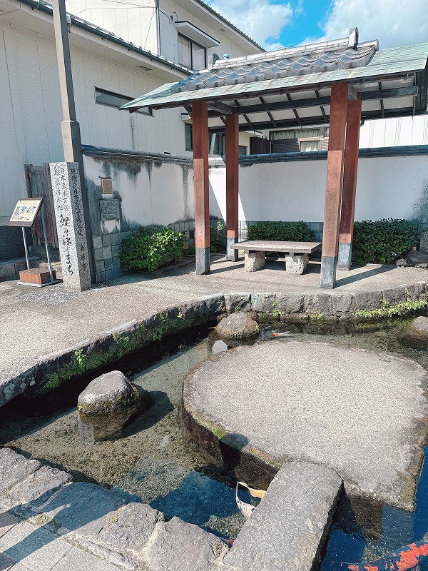 鯉の泳ぐまち