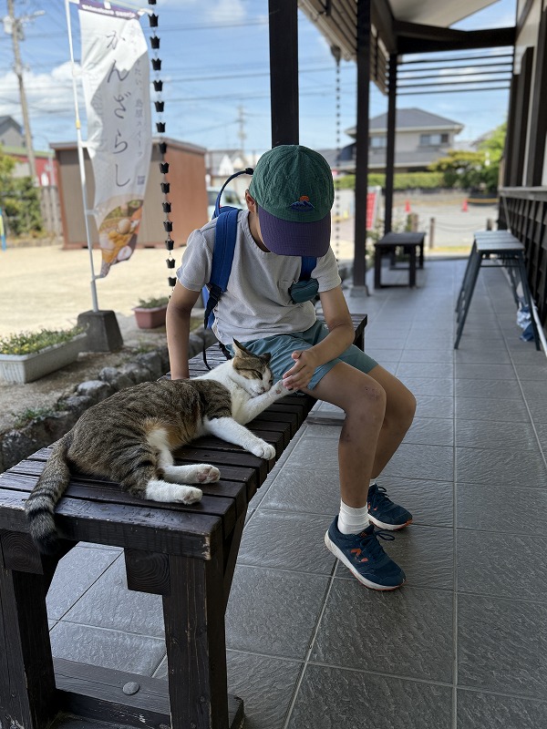 肉球も触らせてくれた猫ちゃん
